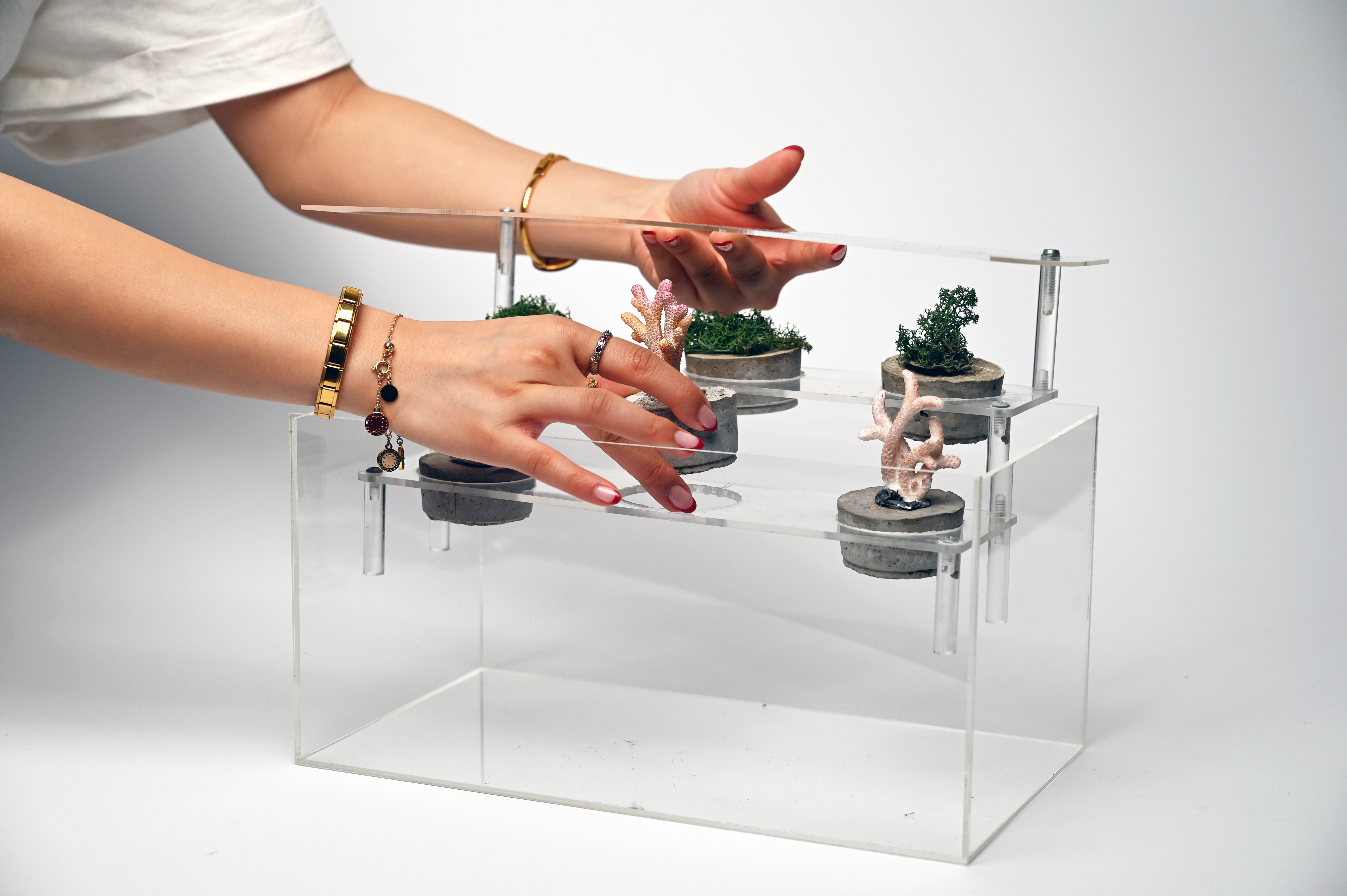 Hands assembling the literaSEA sea plant growth kit